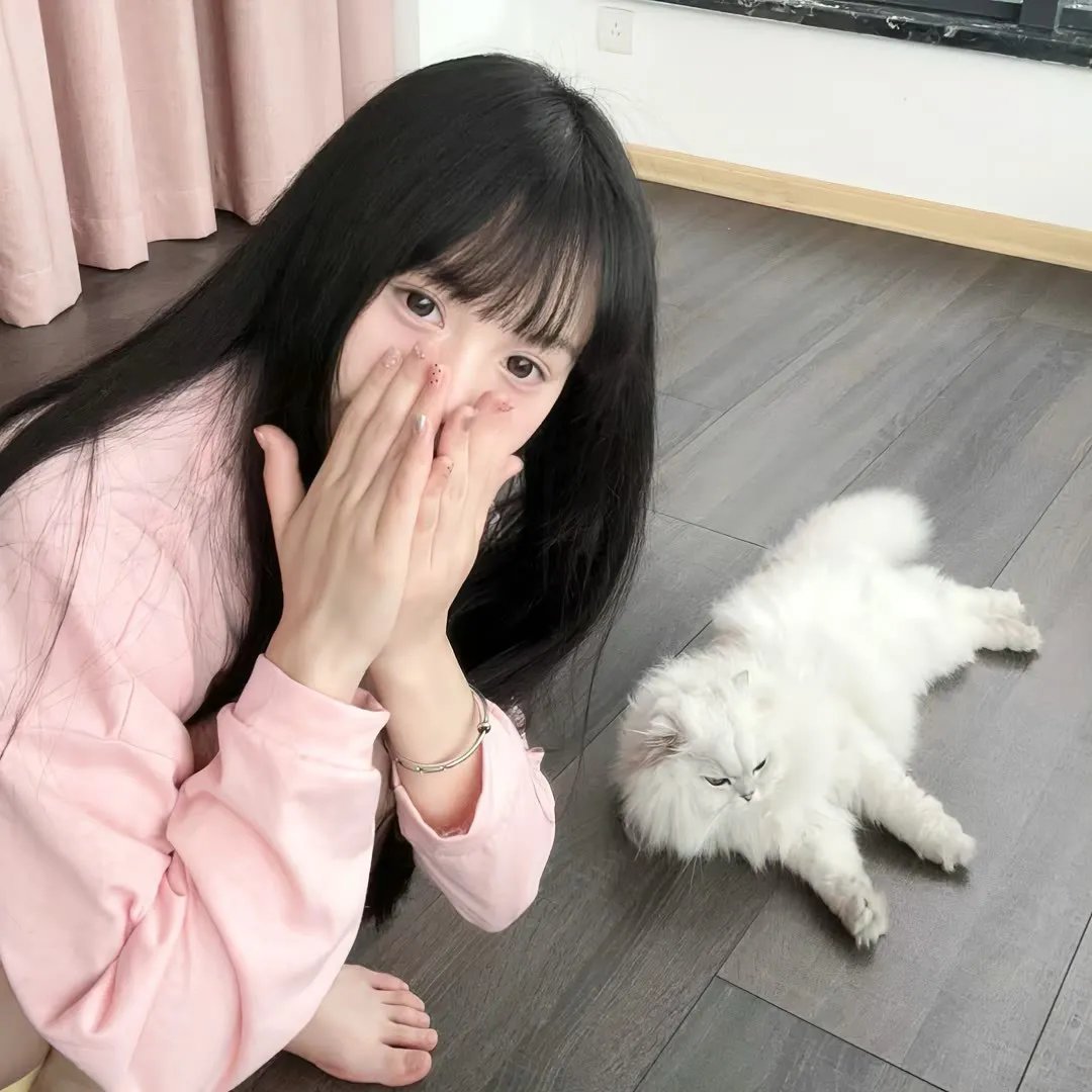 哈莉·奎茵第四季